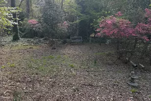 507 Bridlepath Ln, Peachtree City, GA 30269 - Photo 17