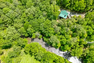 141 Azalea Trail, Ellijay, GA 30536 - Photo 3