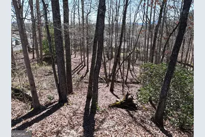 Lot 91 Peyton Drive, Blue Ridge, GA 30513 - Photo 11