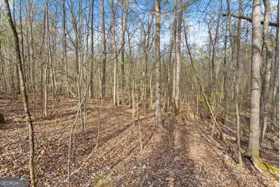 0 Thompson Street, Homer, GA 30547 - Photo 5