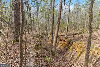 0 Thompson Street, Homer, GA 30547 - Photo 11