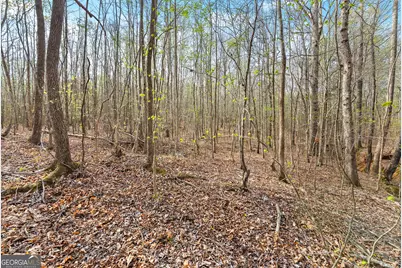 0 Thompson Street, Homer, GA 30547 - Photo 9