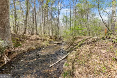 0 Thompson Street, Homer, GA 30547 - Photo 3