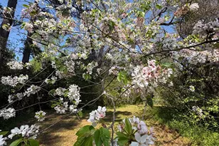 2585 New Clinton Rd, Macon, GA 31211 - Photo 73