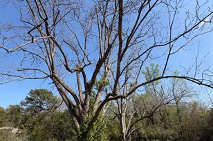 2585 New Clinton Rd, Macon, GA 31211 - Photo 65