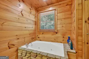 603 Red Berry Ridge Rd, Blue Ridge, GA 30513 - Photo 39