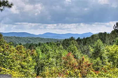 603 Redberry Ridge Road, Blue Ridge, GA 30513 - Photo 13