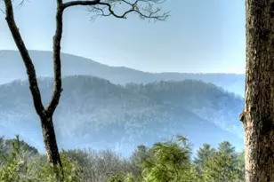 1183 Bear Paw Trail, Blue Ridge, GA 30513 - Photo 3