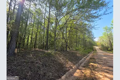 Tract A Ga Highway 102, Mitchell, GA 30820 - Photo 7