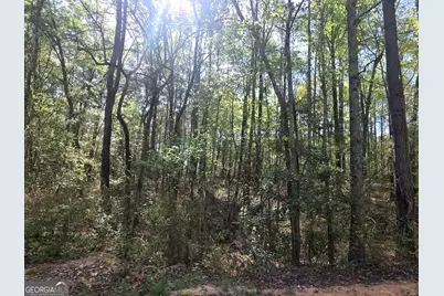 Tract A Ga Highway 102, Mitchell, GA 30820 - Photo 3