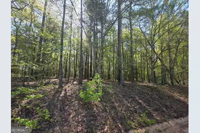 Tract A Ga Highway 102, Mitchell, GA 30820 - Photo 5