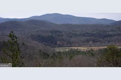365 Aska Forest Trail, Blue Ridge, GA 30513 - Photo 15