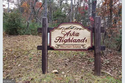 365 Aska Forest Trail, Blue Ridge, GA 30513 - Photo 57