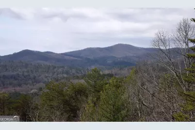 365 Aska Forest Trail, Blue Ridge, GA 30513 - Photo 11