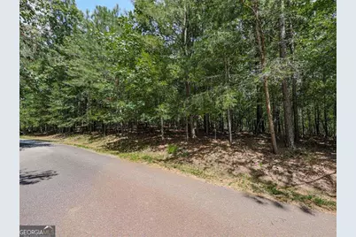 140 Joe Green Lane, Canton, GA 30114 - Photo 5