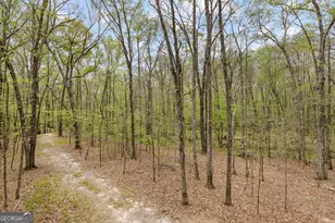 215 Diamond Point, Fayetteville, GA 30215 - Photo 131