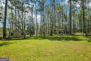 121 Cannongate Cir, Sharpsburg, GA 30277 - Photo 33