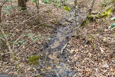 161 Arbor Way, Blue Ridge, GA 30513 - Photo 41