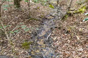 161 Arbor Way, Blue Ridge, GA 30513 - Photo 41