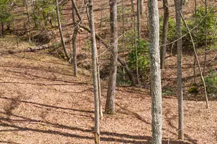 161 Arbor Way, Blue Ridge, GA 30513 - Photo 7
