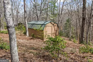 161 Arbor Way, Blue Ridge, GA 30513 - Photo 49