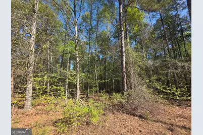 Tract B Ga Highway 102, Mitchell, GA 30820 - Photo 5