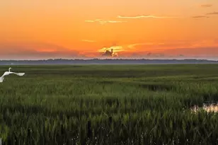 210 Placid Rd, Saint Marys, GA 31558 - Photo 43