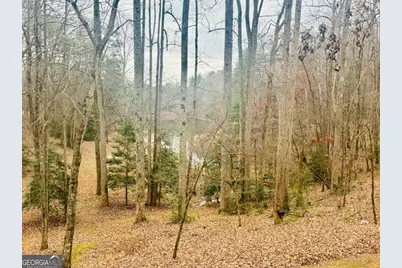 1048 Echota Road, Clarkesville, GA 30523 - Photo 35