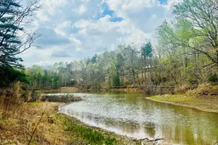 1048 Echota Rd, Clarkesville, GA 30523 - Photo 55