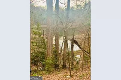 1048 Echota Road, Clarkesville, GA 30523 - Photo 33