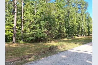 Lots 48,49,50 Doe Lane, Mansfield, GA 30055 - Photo 11