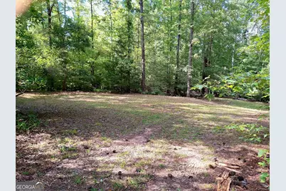 Lots 48,49,50 Doe Lane, Mansfield, GA 30055 - Photo 13