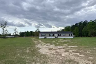 7518 Buck Head Rd, Baxley, GA 31513 - Photo 1