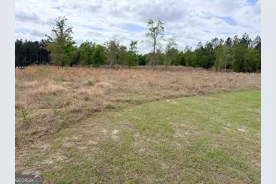 7518 Buck Head Road, Baxley, GA 31513 - Photo 3