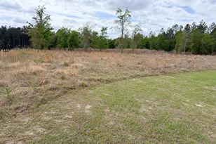 7518 Buck Head Rd, Baxley, GA 31513 - Photo 3