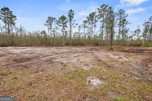 1795 Wilkinson Road NE, Ludowici, GA 31316 - Photo 21