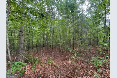 1786 Jones Mountain Road, Jasper, GA 30143 - Photo 3