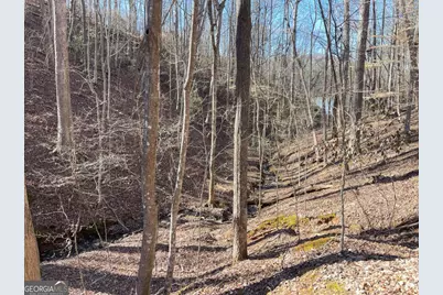 7804 Poplar Place, Murrayville, GA 30564 - Photo 3