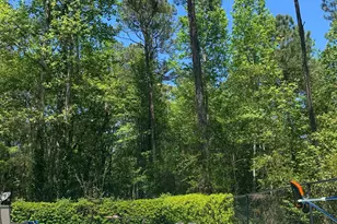 12 N Alexander Creek Rd, Newnan, GA 30263 - Photo 69