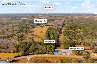 0 Mauldin Road, Elberton, GA 30635 - Photo 7