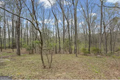 166 Muse Road, Fayetteville, GA 30214 - Photo 41