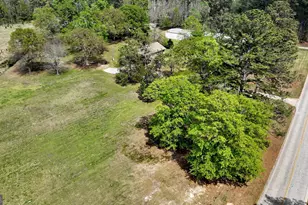 104 McIntosh Trail, Sharpsburg, GA 30277 - Photo 3