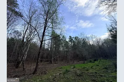 1929 Sharon Road, Crawfordville, GA 30631 - Photo 33