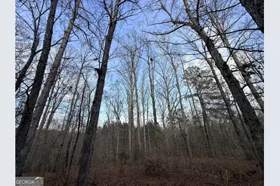 1929 Sharon Road, Crawfordville, GA 30631 - Photo 37