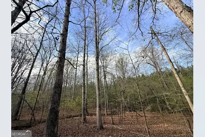 1929 Sharon Road, Crawfordville, GA 30631 - Photo 39