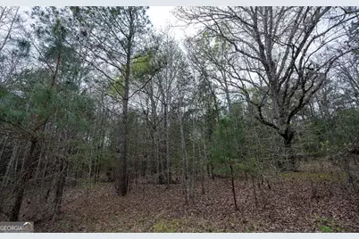 1929 Sharon Road, Crawfordville, GA 30631 - Photo 61