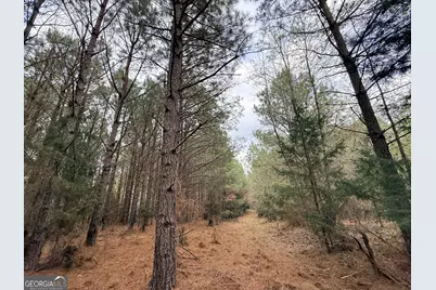 1929 Sharon Road, Crawfordville, GA 30631 - Photo 47