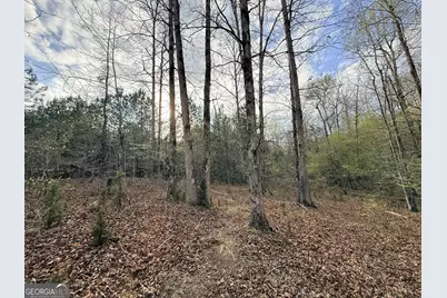 1929 Sharon Road, Crawfordville, GA 30631 - Photo 41