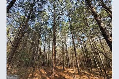 1929 Sharon Road, Crawfordville, GA 30631 - Photo 23