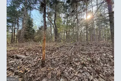 1929 Sharon Road, Crawfordville, GA 30631 - Photo 25